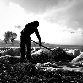 Sophie Jaussaud, maraichère à Ancelle