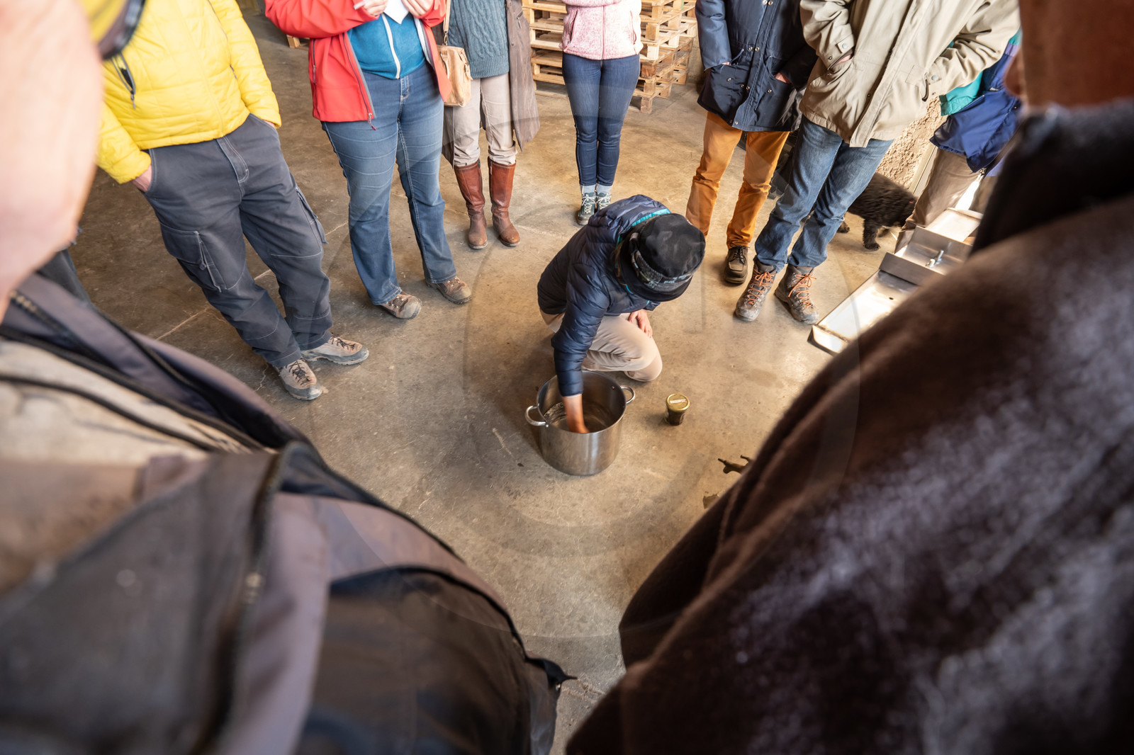 Croqueurs de pommes des Alpes Latines