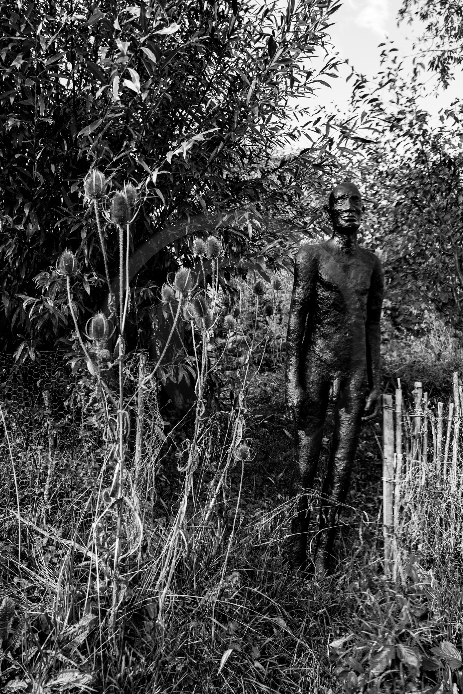 Exposition La forêt d'hommes, une création de Barbara Fougnon, artiste plasticienne