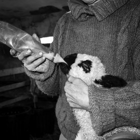 La bergerie de Michèle Soubeyrand