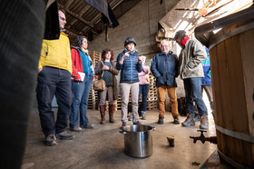 Croqueurs de pommes des Alpes Latines