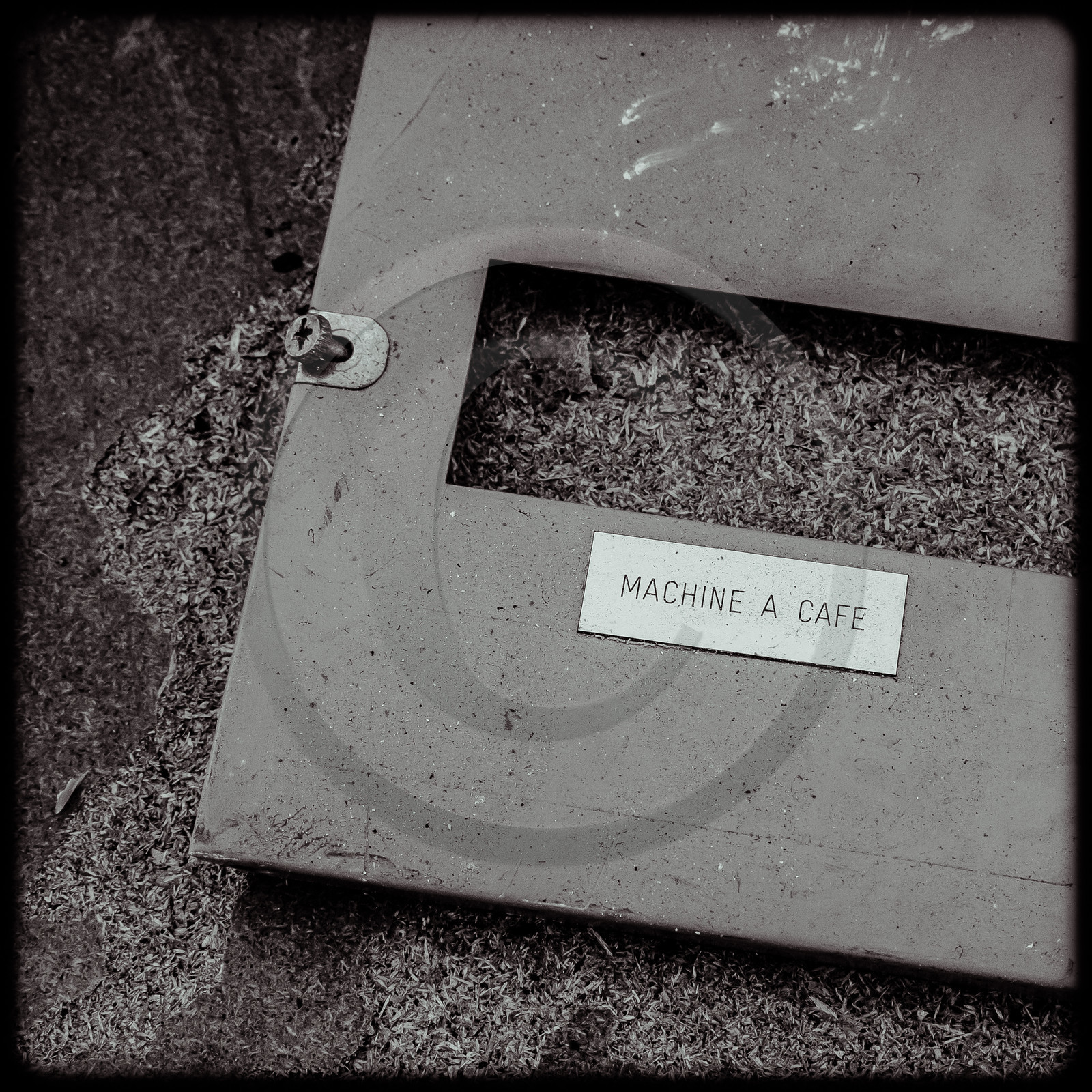 La piscine de Luminy (13)