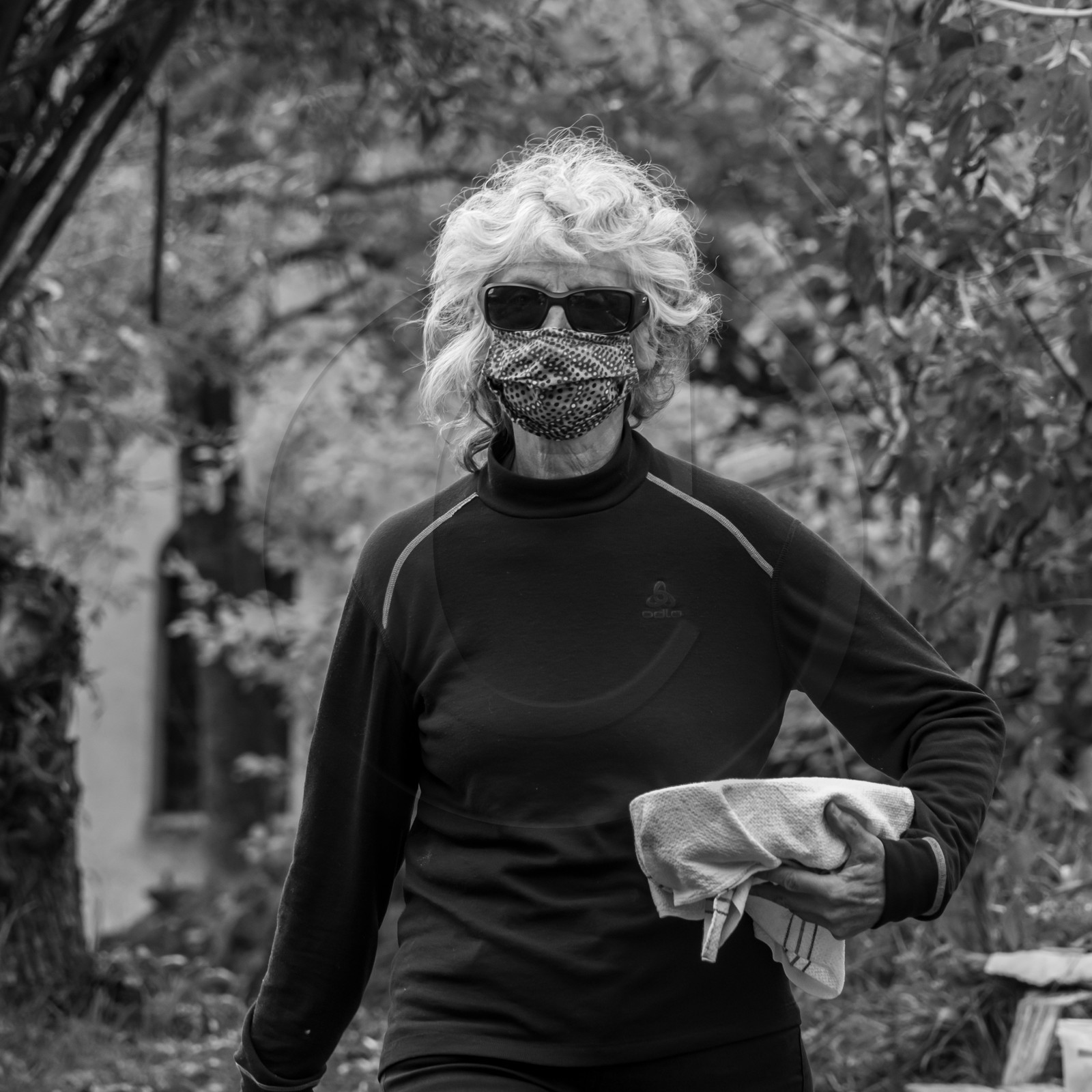 Semis, tournesols et jeux