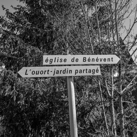 03 avril 2024 : Laine et aménagements au jardin