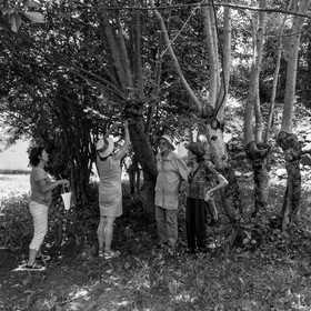 Une après-midi au jardin