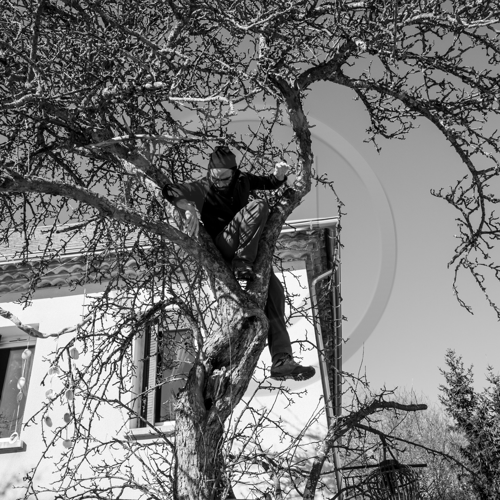 06 février 2019 : la pose des nichoirs