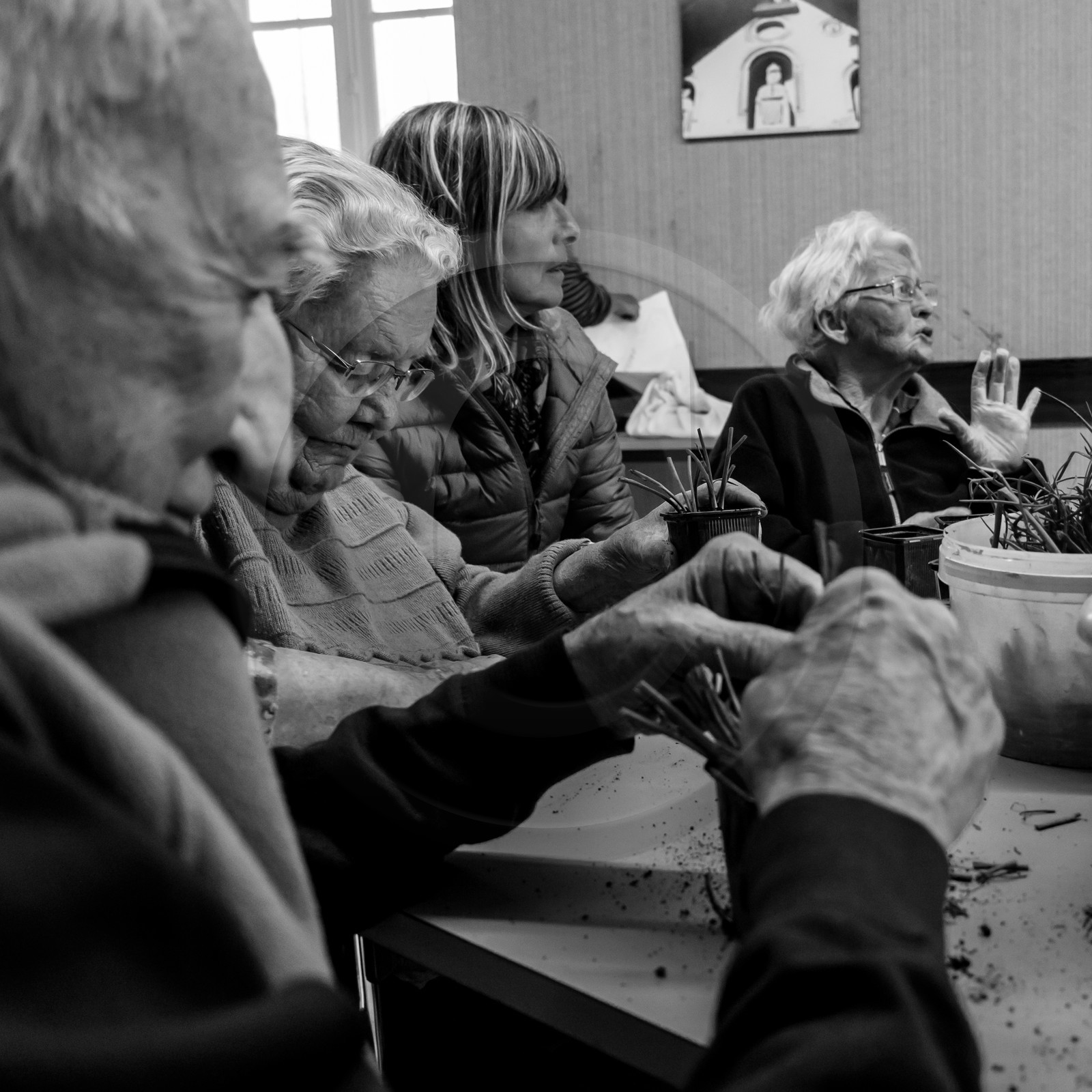 L'Ouort de Bénévent - 05 avril 2017