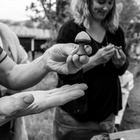 31 mai 2021 : Journée des aidants