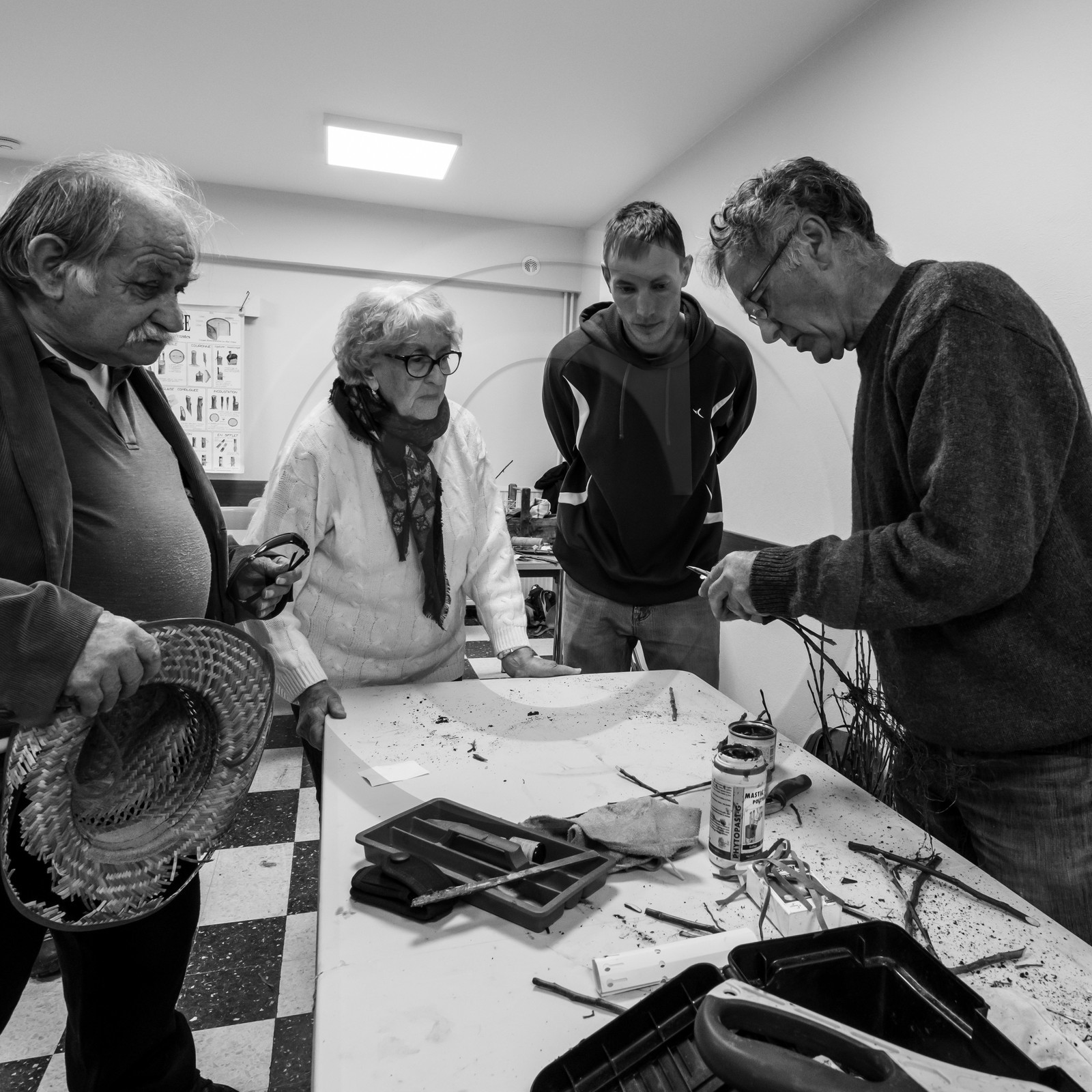 03 avril 2019 : Initiation à la greffe d'arbres fruitiers