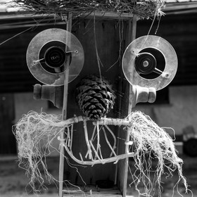 23 août 2017 - Animations