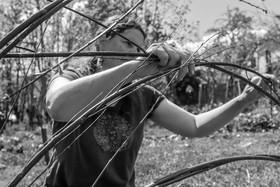 30 avril 2025 : Un oiseau en osier