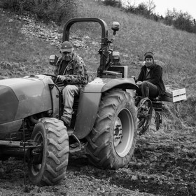 La plantation des pommes de terre