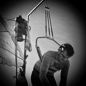 La tonte des moutons