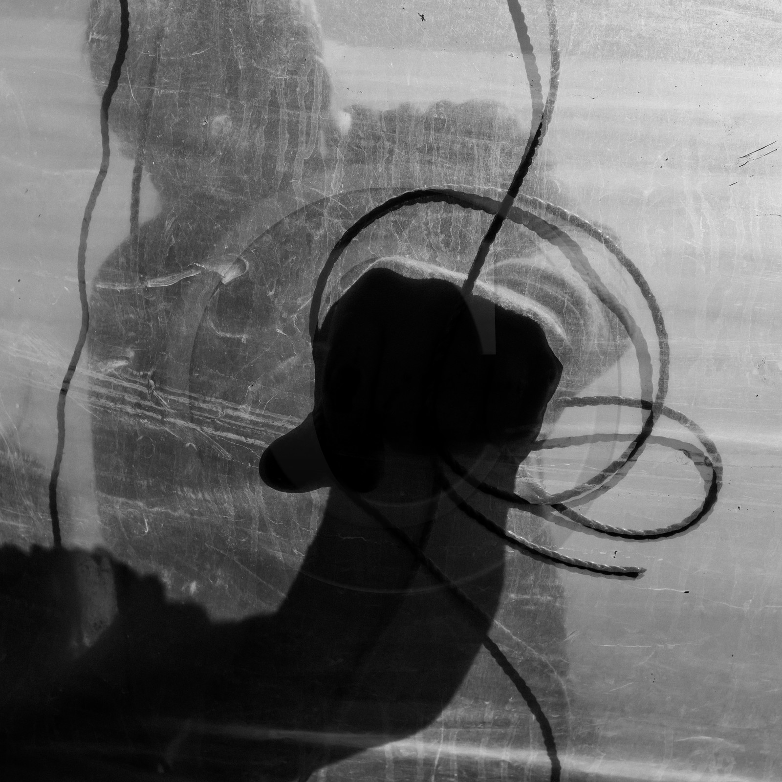 Montage de serres tunnel