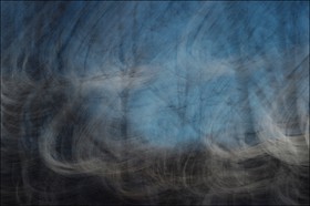 Le Pays des Arbres Flous