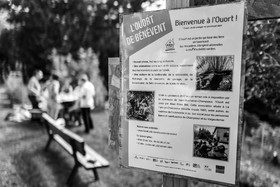 17 juillet 2023 : Journée des aidants et des aidés