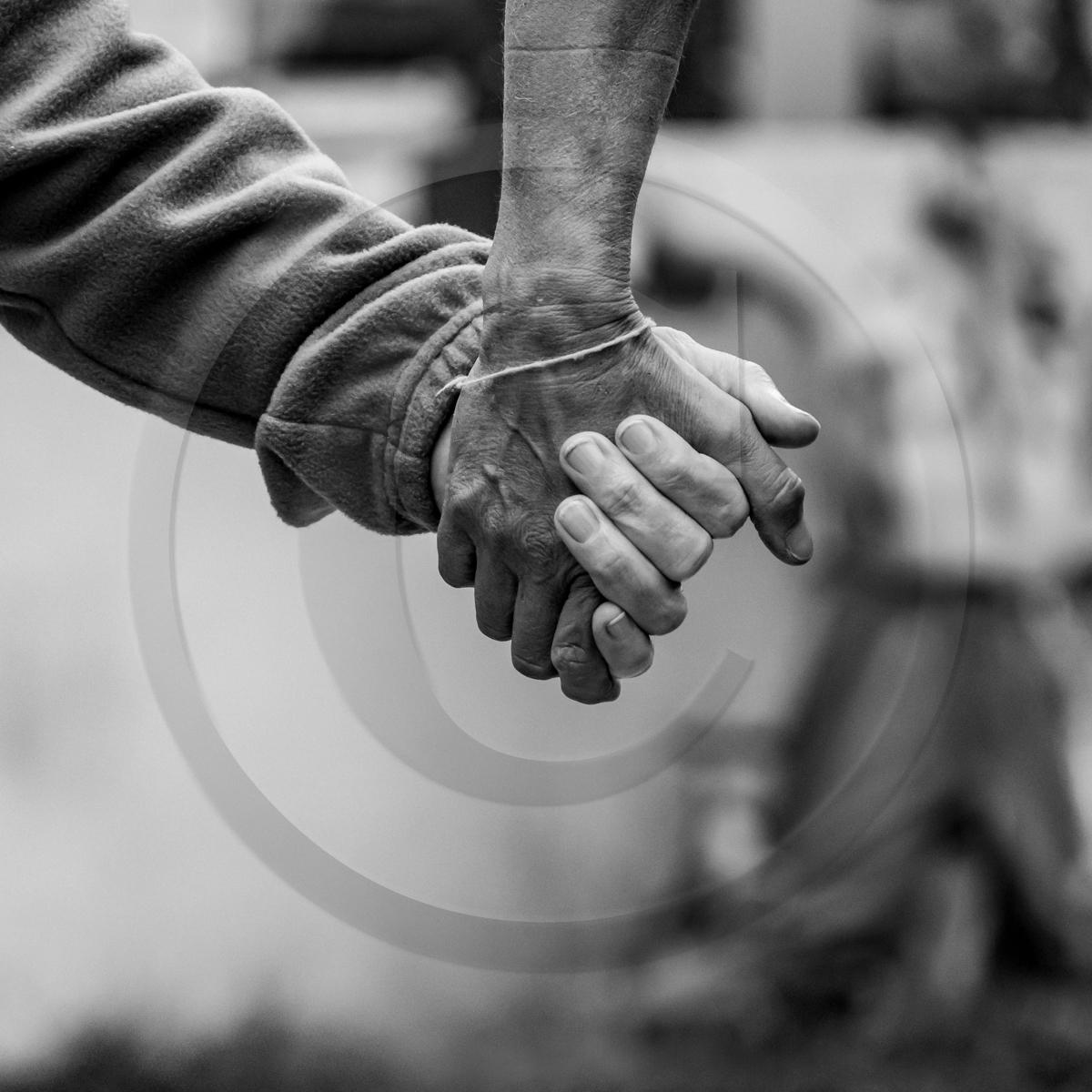 14 septembre 2022 : jeux, laine et promenade