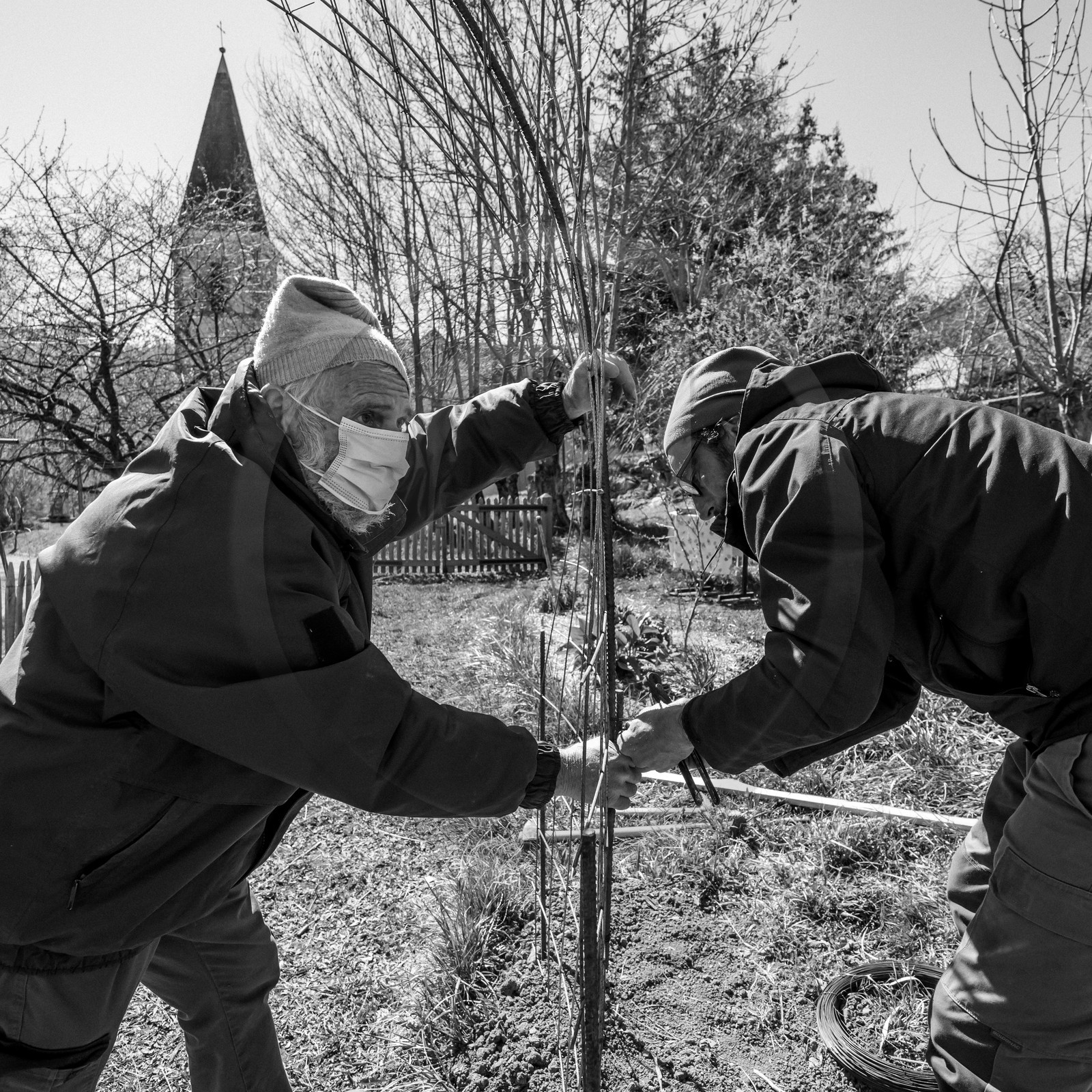 Ouort de Benevènt - 07 avril 2021