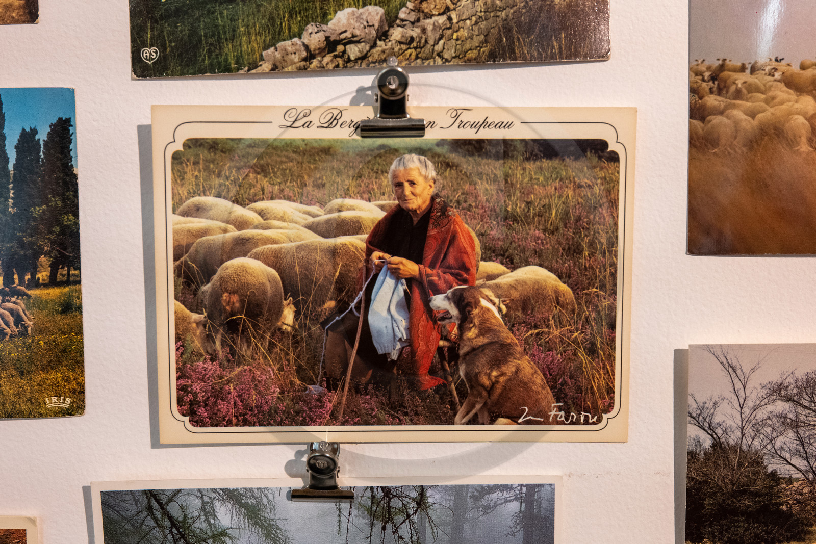 Expositions à la maison du Berger - Champoléon