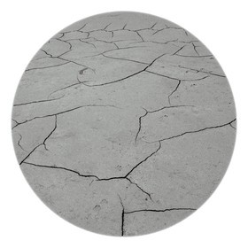 Les instants Camargue