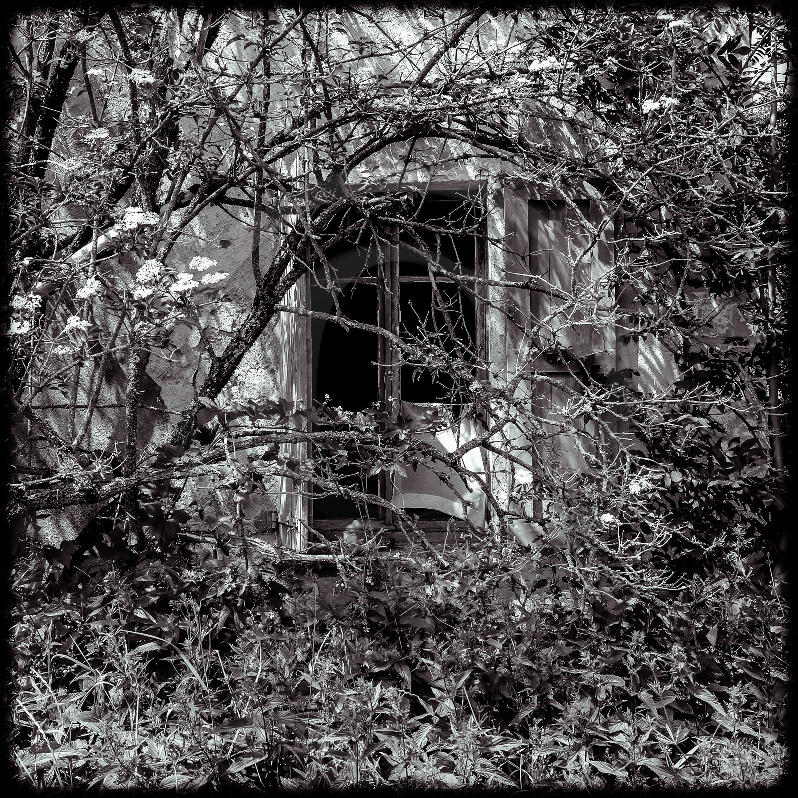Une maison abandonnée à Saint-Julien-en-Champsaur