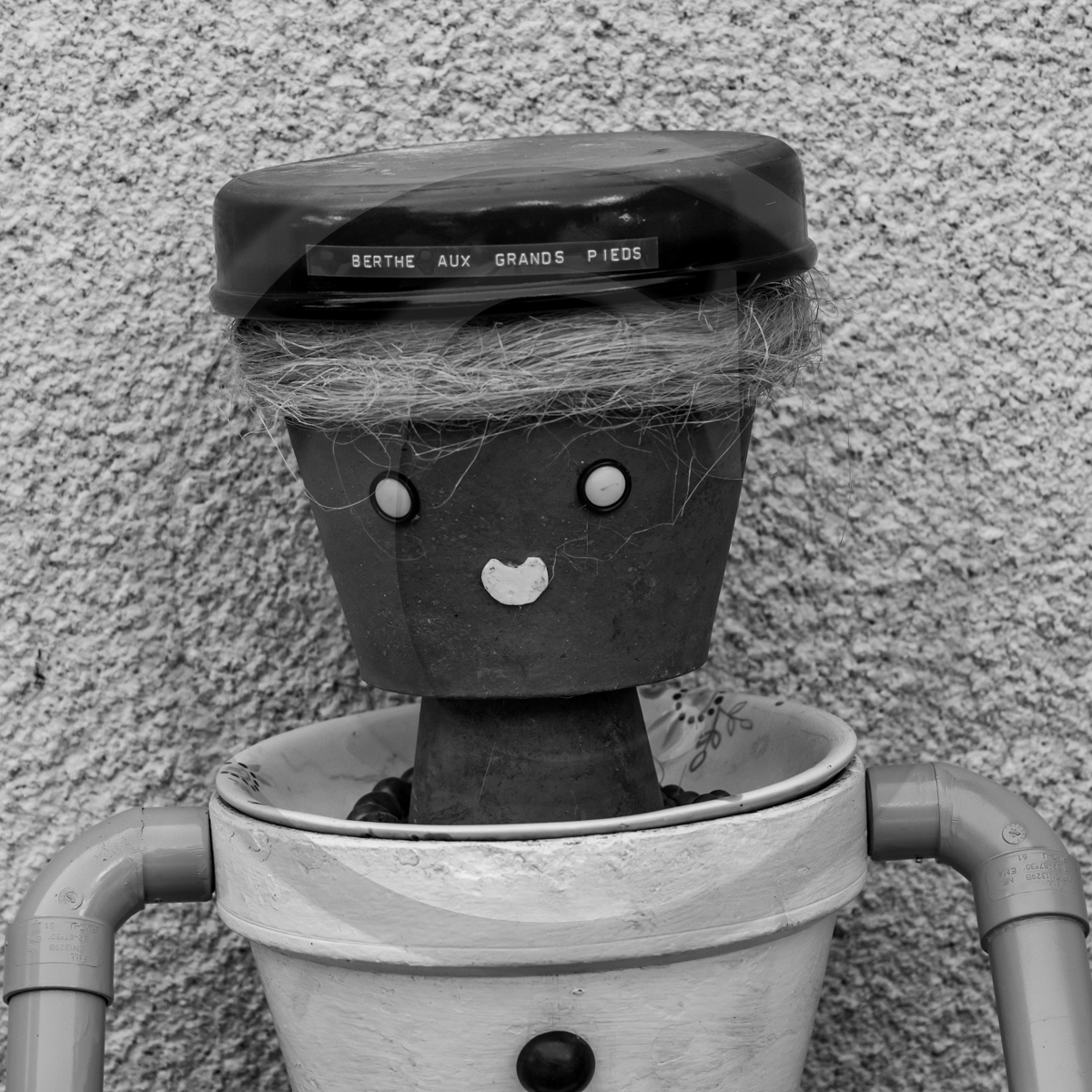 29 juin 2022 : Découverte des plantes sauvages