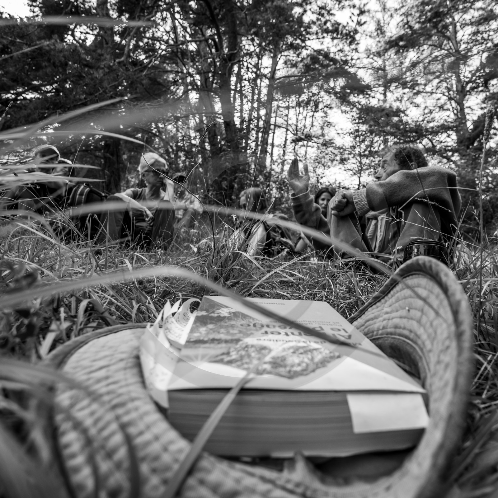 Arpenter le paysage avec Martin de la Soudière