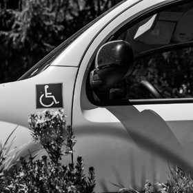 Atelier laine et promenade au jardin