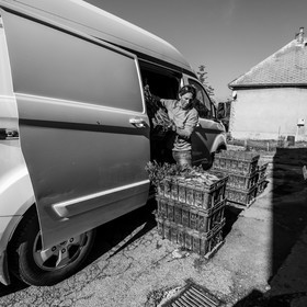 Maraichage biologique dans le Champsaur