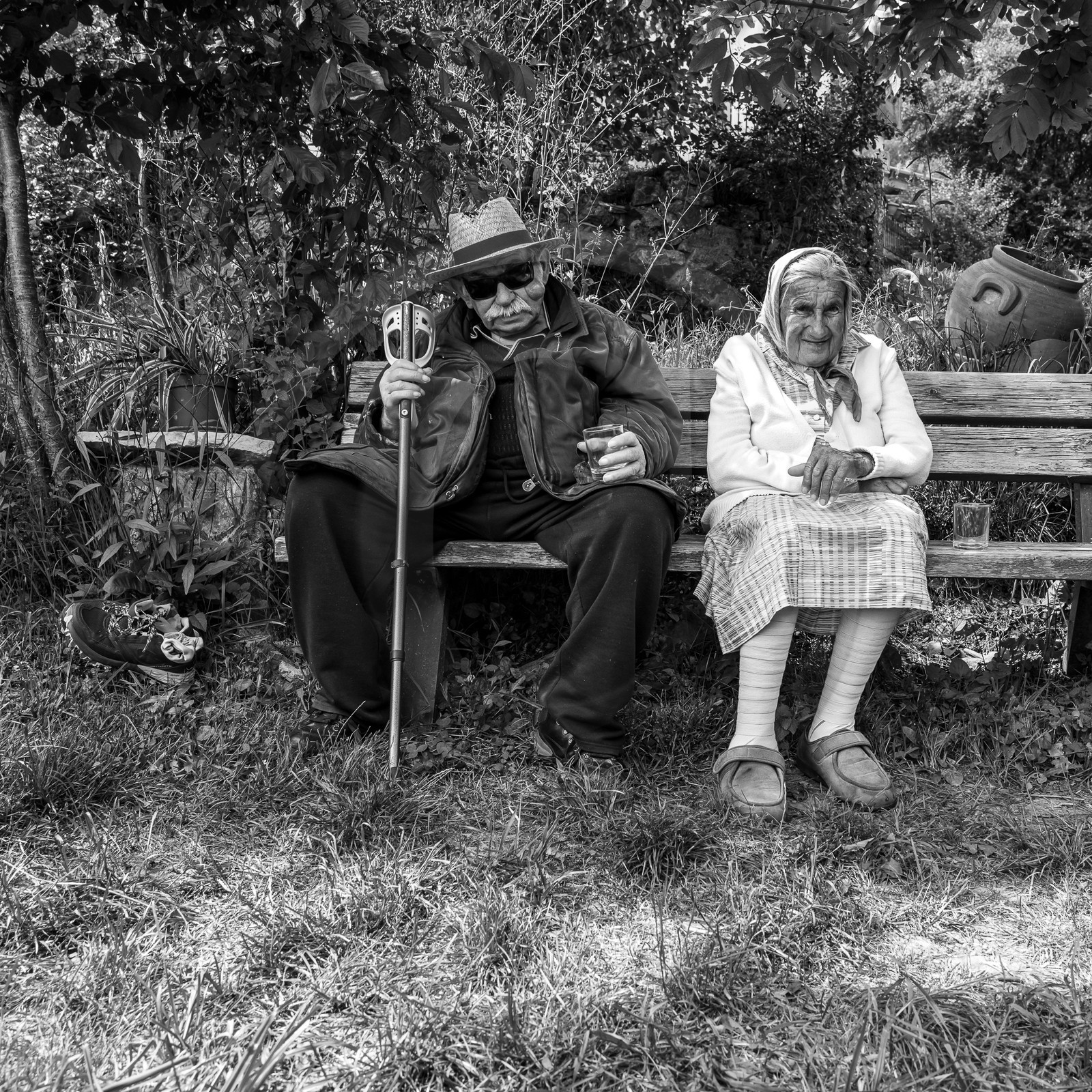 21 juin 2023 : Découverte botanique