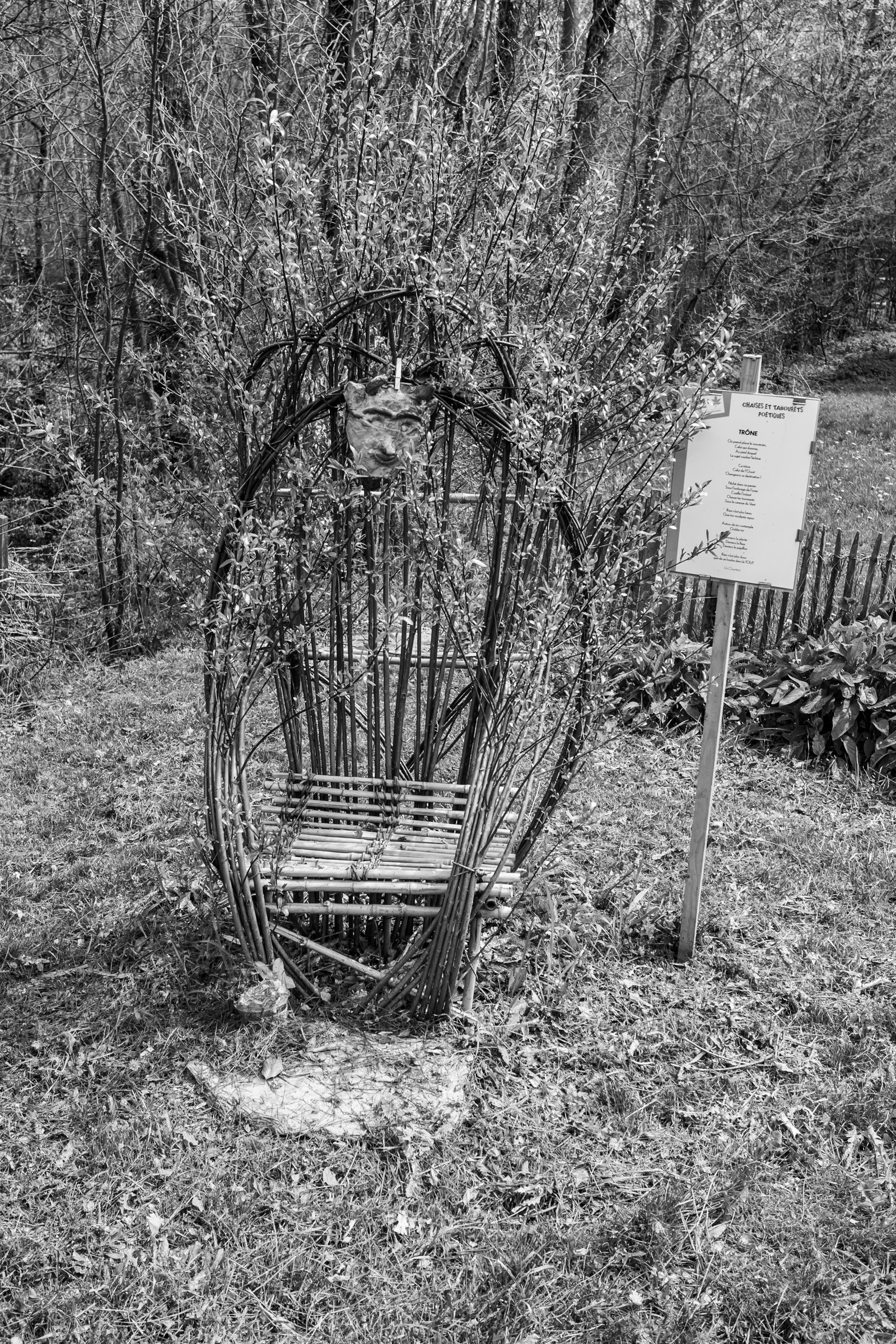 23 avril 2025 : Des oiseaux et des plantes