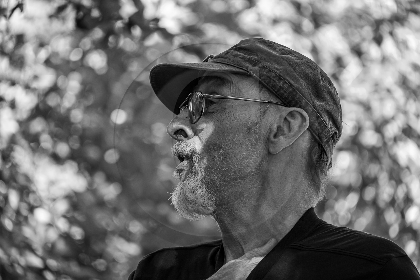 09 août 2023 : HydrOlique au jardin