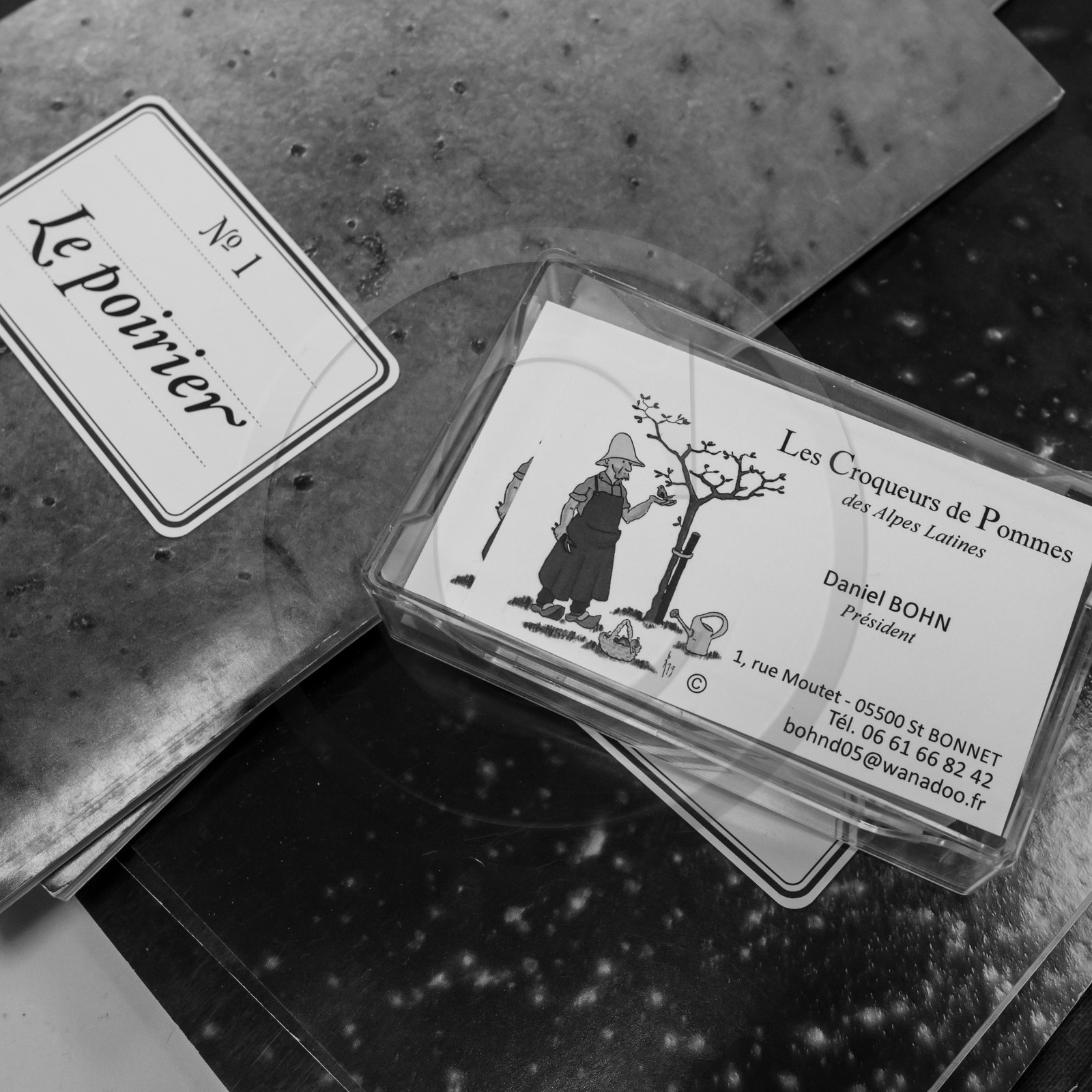 03 avril 2019 : Initiation à la greffe d'arbres fruitiers