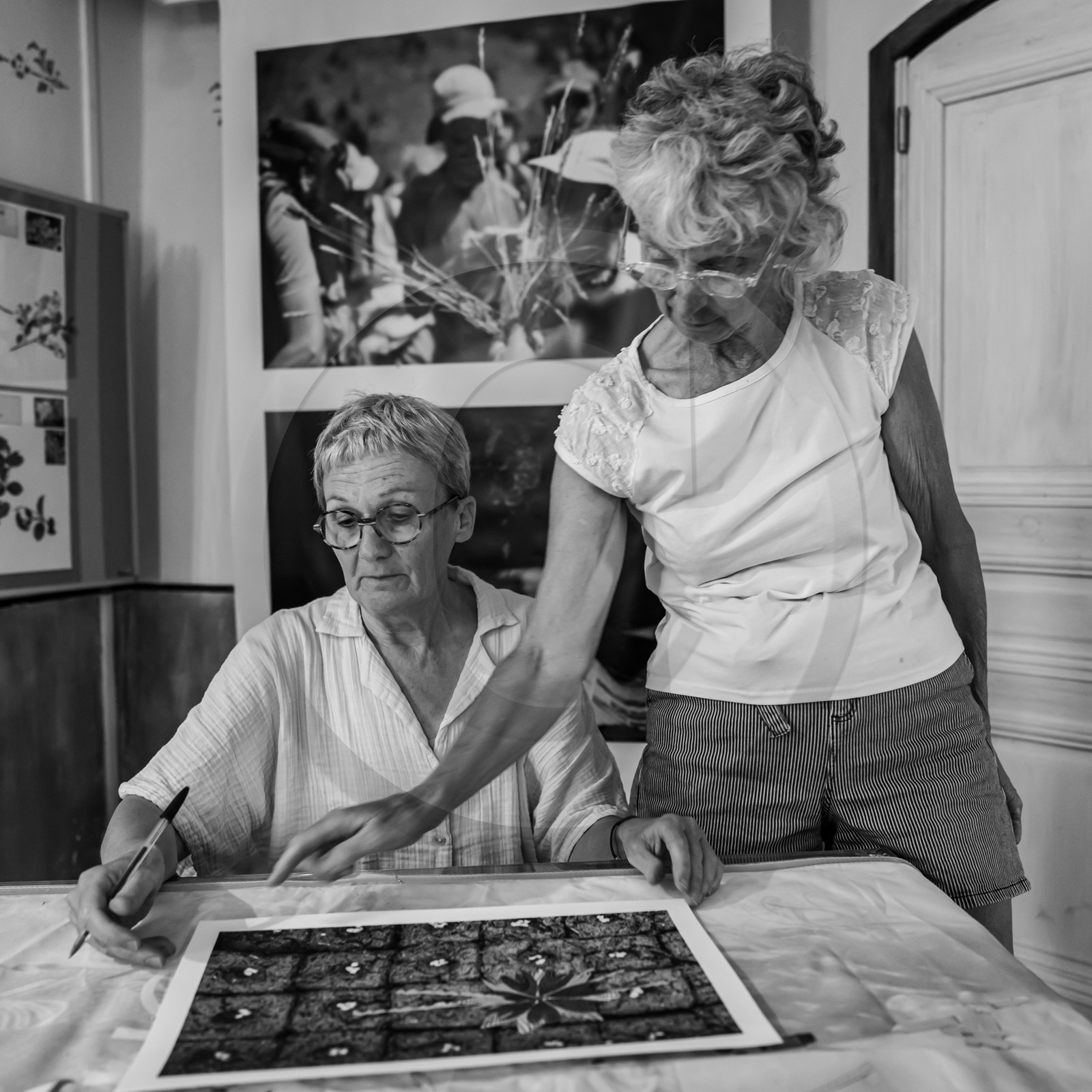 28 août 2024 : A la Maison de la Botanique du Noyer en Champsaur. Visite de l'exposition L comme laine, lien, lieu. Lectures par Les Colporteurs. Collages sur les photographies de Denis Lebioda