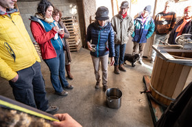 Croqueurs de pommes des Alpes Latines