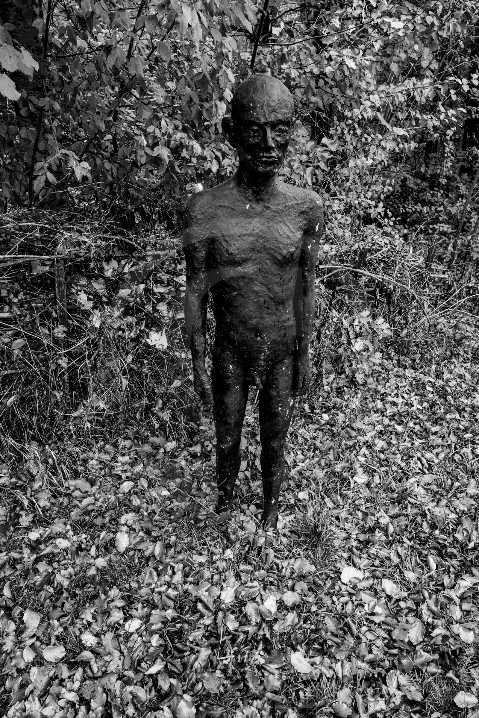 Exposition La forêt d'hommes, une création de Barbara Fougnon, artiste plasticienne