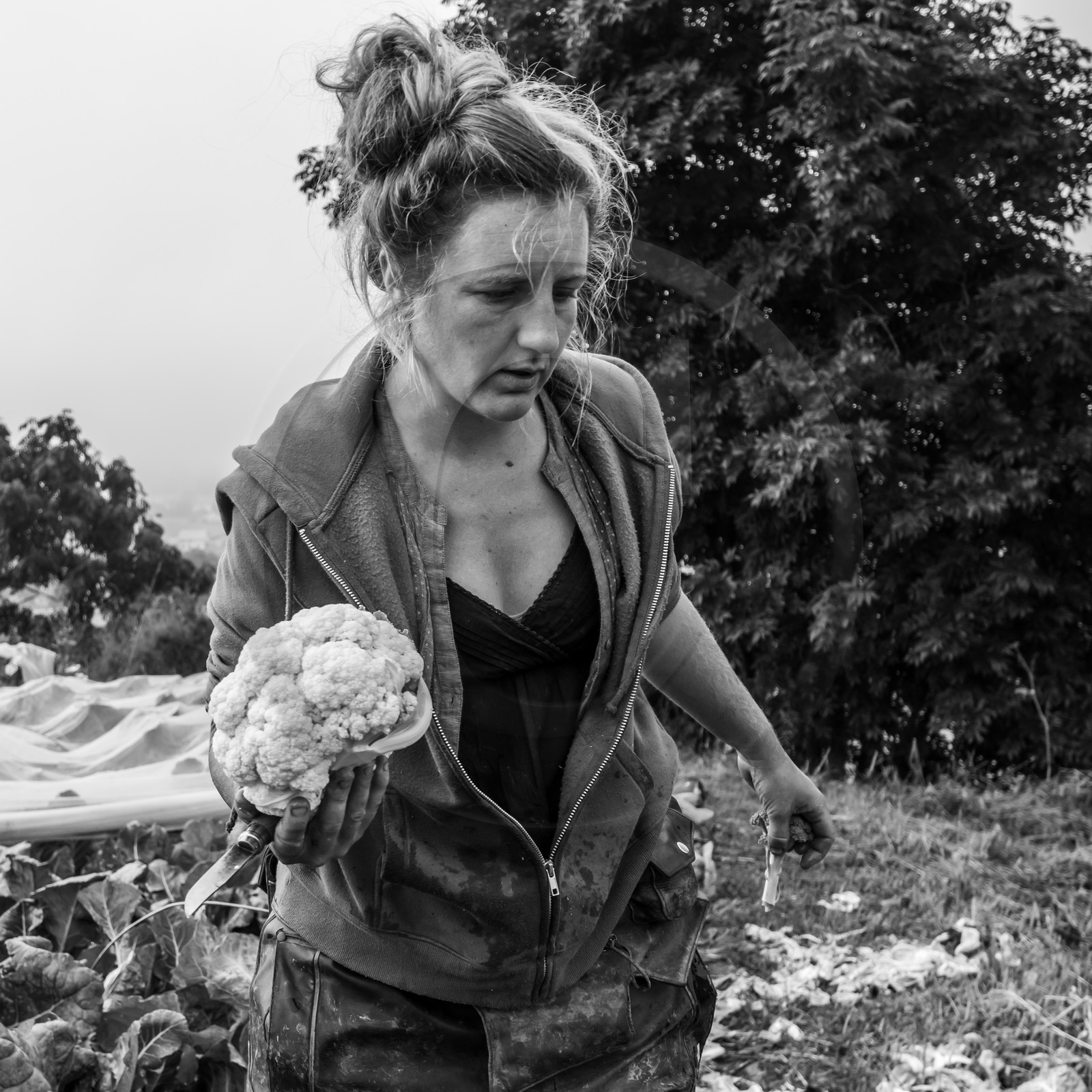 Maraichage biologique dans le Champsaur