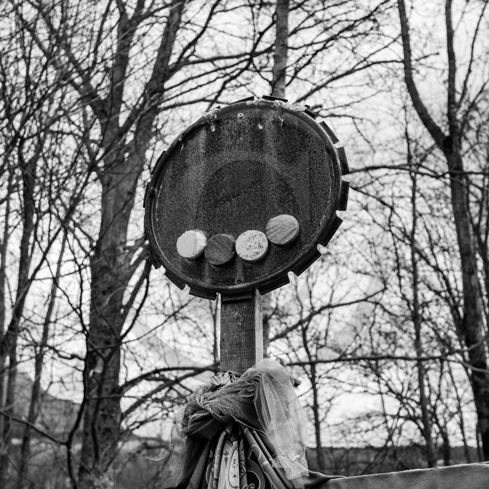 21 avril : jardinage, collages, peinture