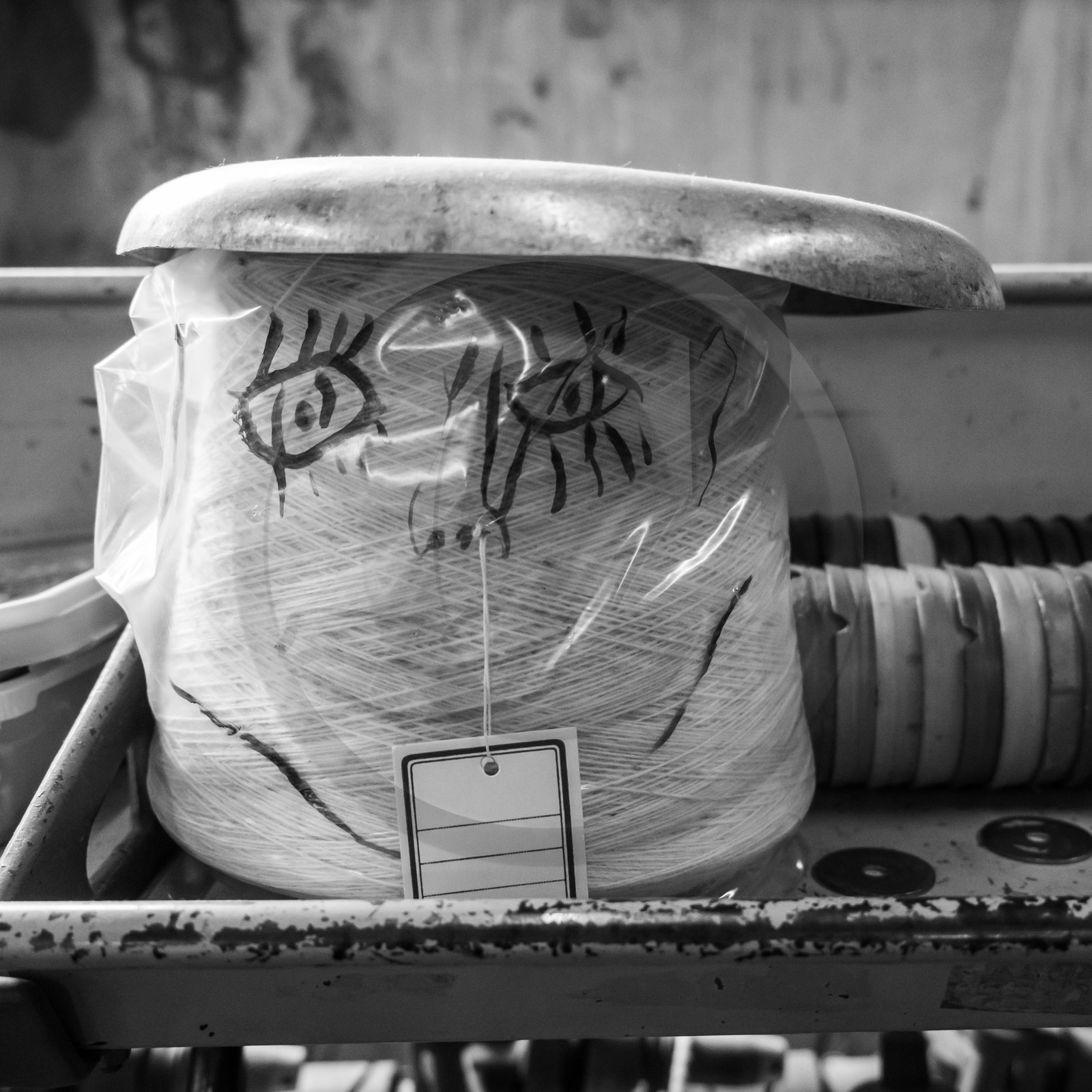 La Filature du Valgaudemar