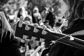 26 octobre 2025 : Les oiseaux de trottoir