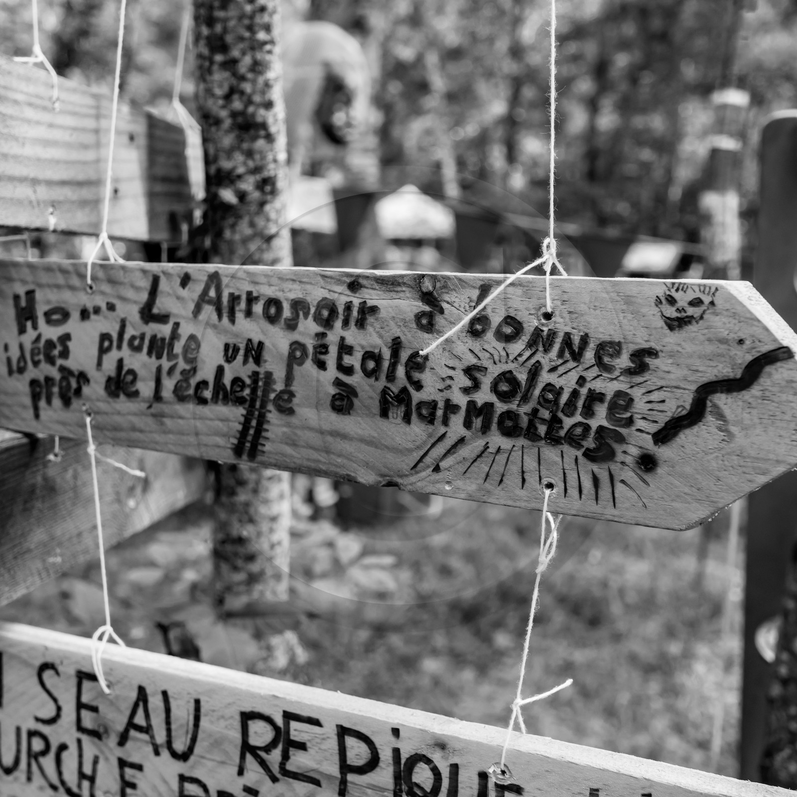 11, 12 et 13 août 2021 : L'Echo des Mots