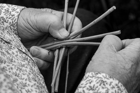 13 septembre 2023 : Osier et HydrOlique