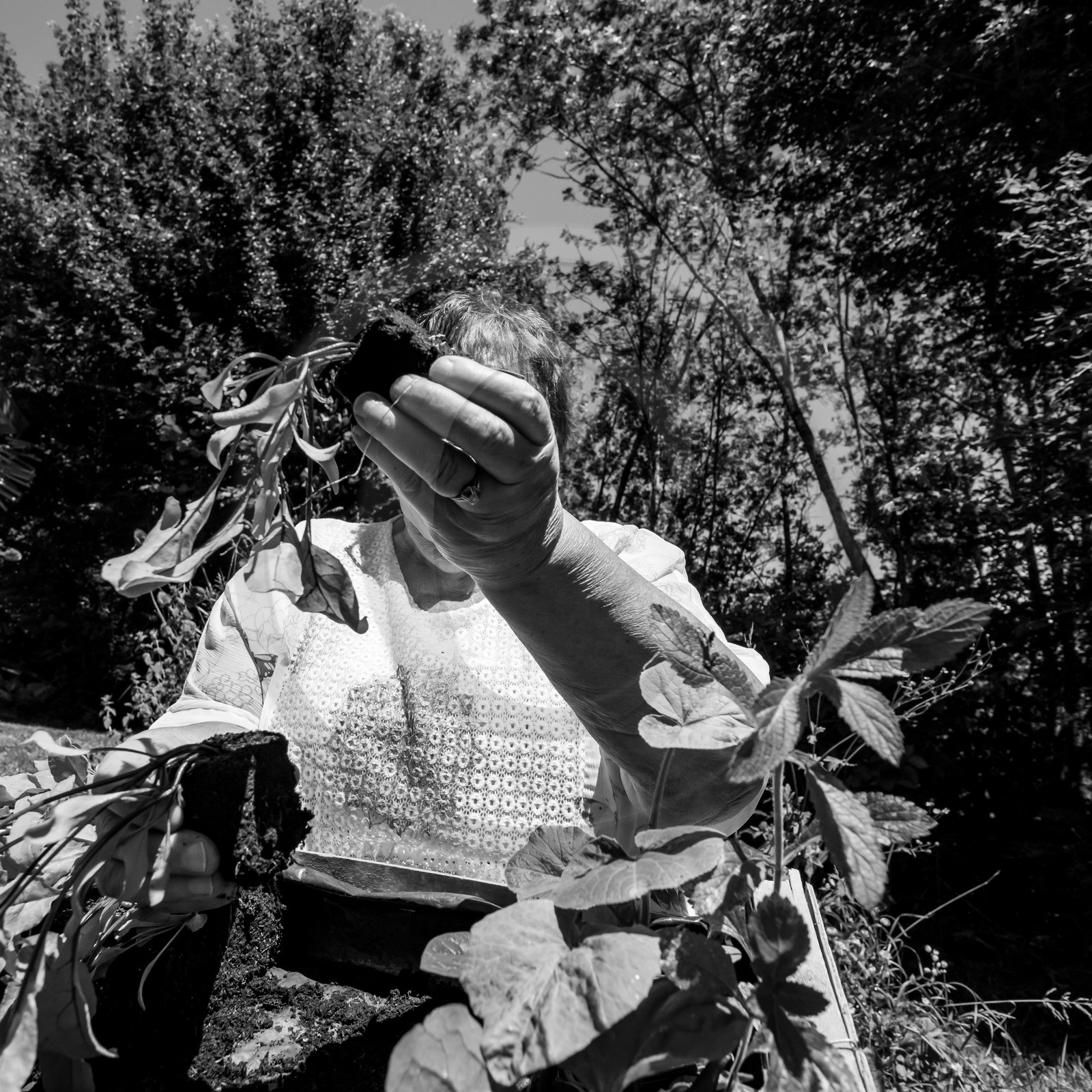 30 juin 2021 : Jardinage, jeux de cartes, masques