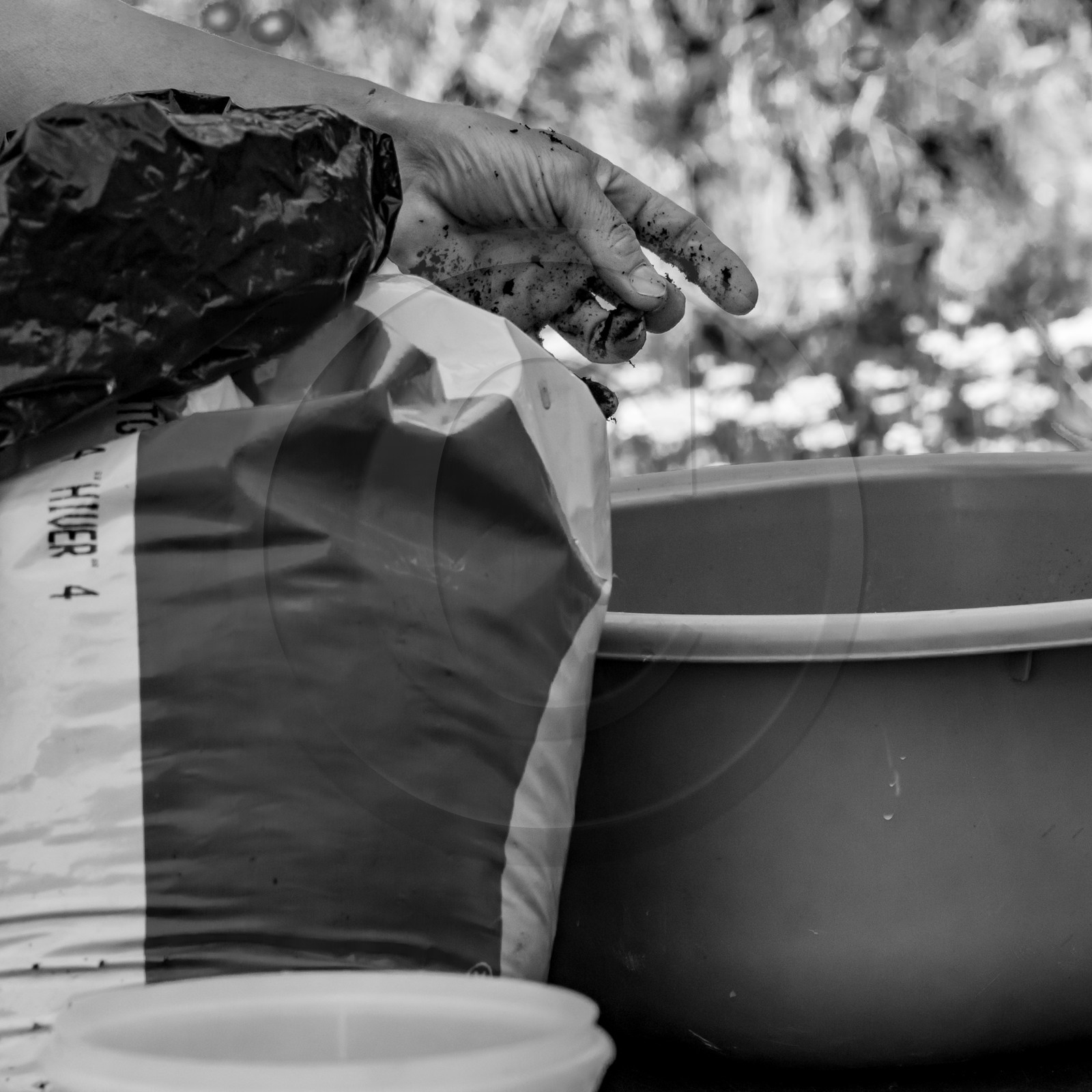 16 août 2021 : Journée des aidants