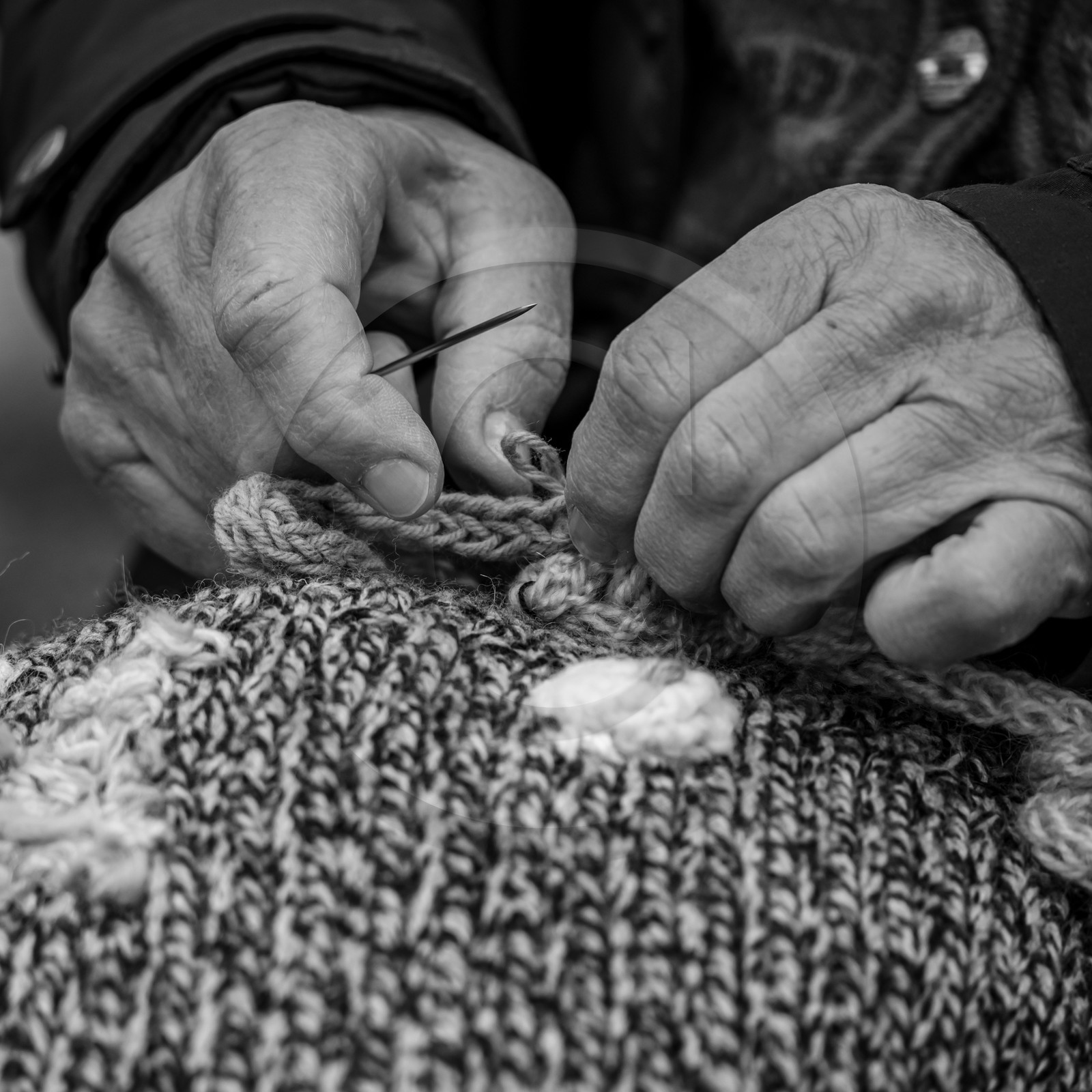 01 mai 2024 : chants, laine et jardinage