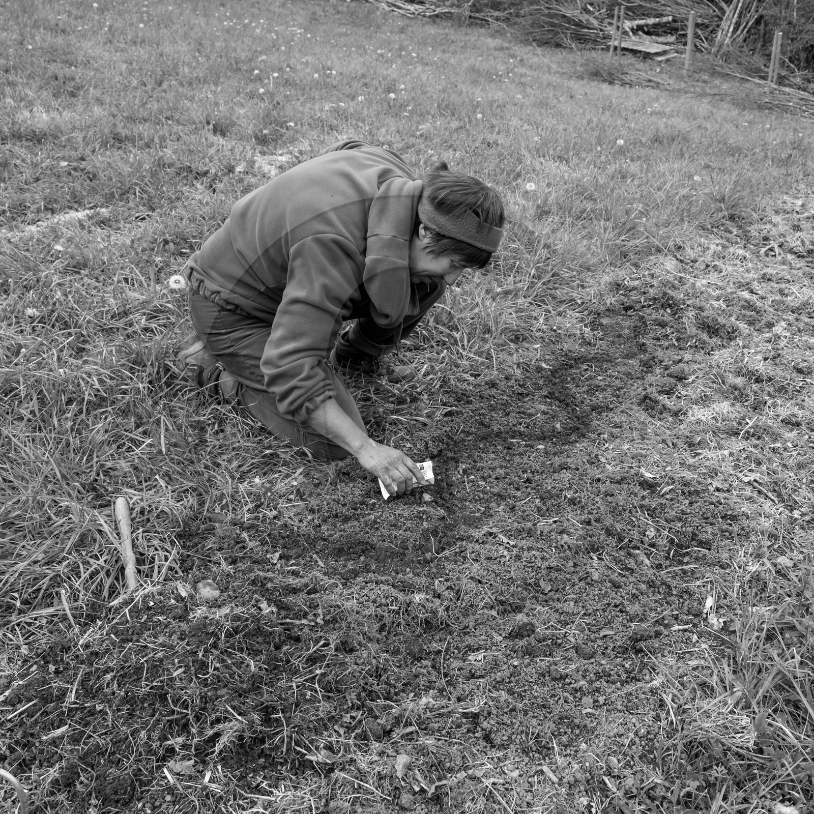 03 mai 2017 - Bac, semis et plantations