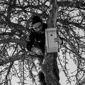 06 février 2019 : la pose des nichoirs