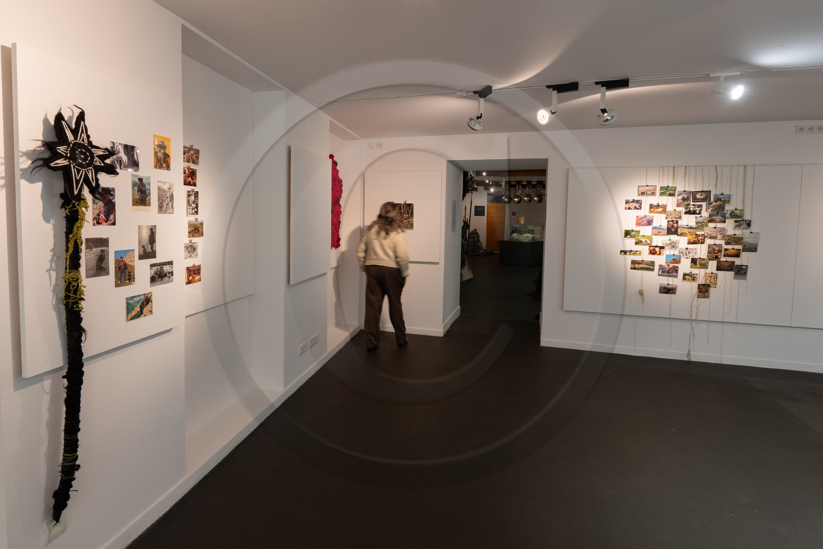 Expositions à la maison du Berger - Champoléon