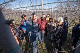 Croqueurs de pommes des Alpes Latines