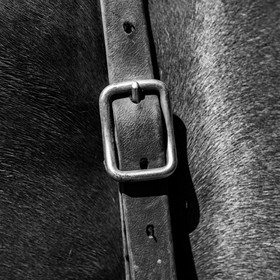 01 septembre 2021 : Promenade en cariole et contes